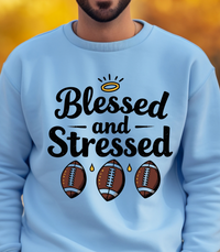 Load image into Gallery viewer, Blessed and Stressed Football Shirt, Funny Game Day Tee for Fans, Tailgate T-Shirt, Fall Sports Shirt for Moms, Wives, and Fans
